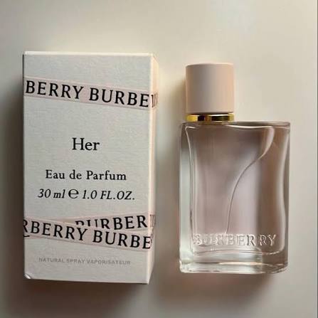 BURBERRY BURBER